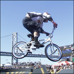 mirra1.jpg
